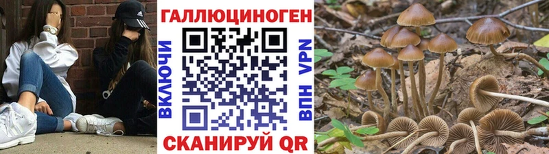 Галлюциногенные грибы ЛСД  это как зайти  Сухиничи  гидра ссылка 